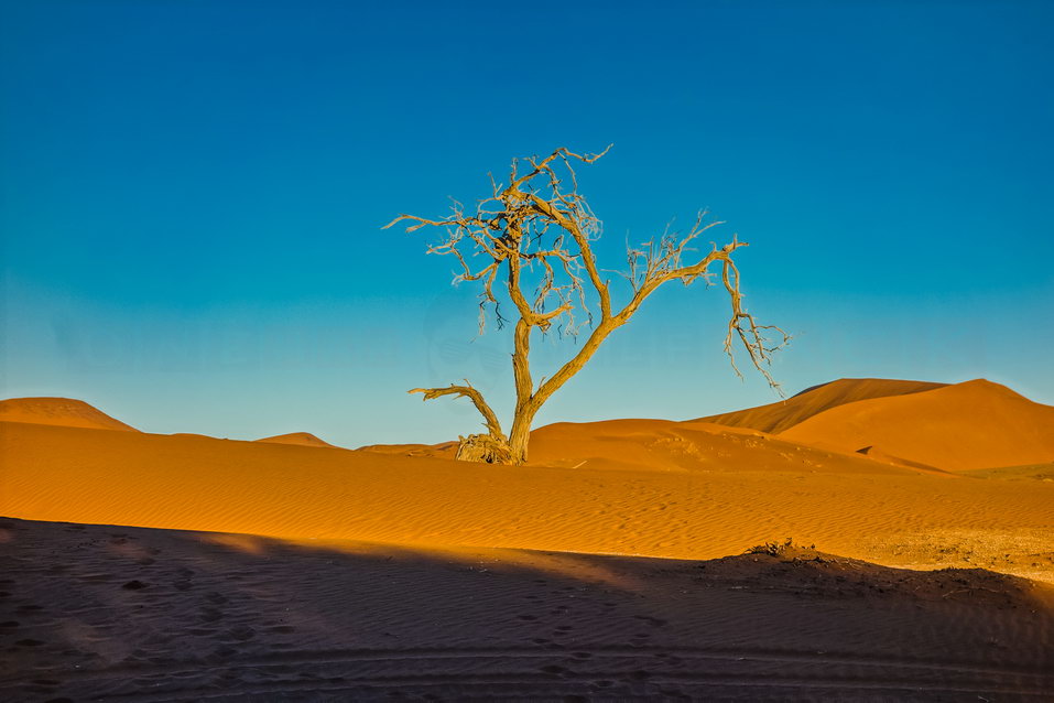 Sossusvlei (Namibia) © One Man Wolf Pack