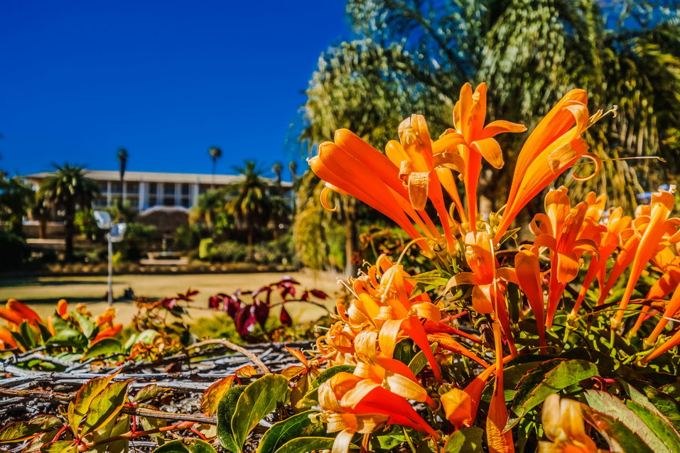 Windhoek (Namibia) © One Man Wolf Pack