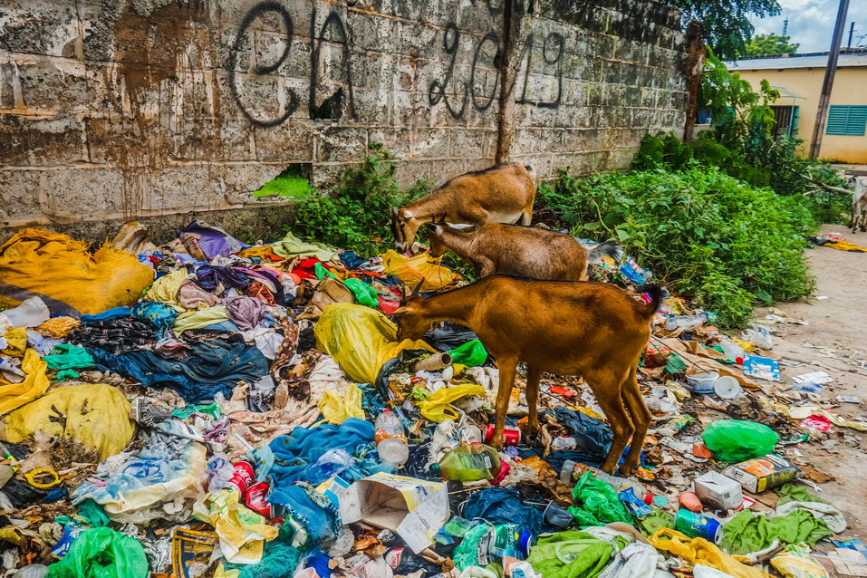 Ziguinchor (Senegal) © One Man Wolf Pack