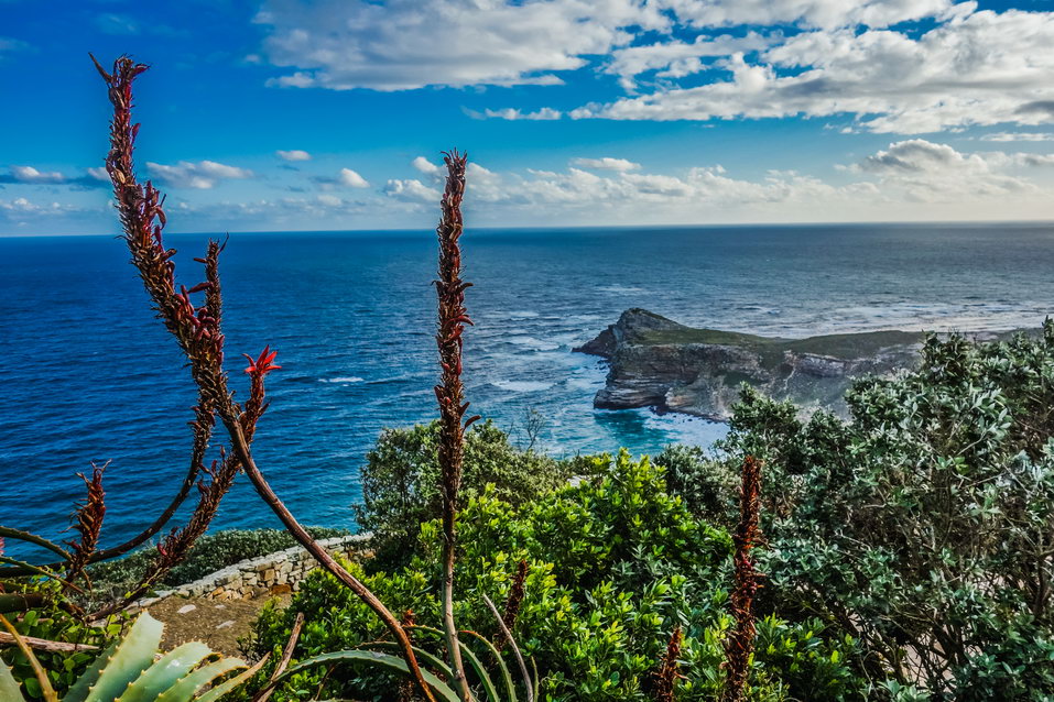 Cape of Good Hope (South Africa) © One Man Wolf Pack