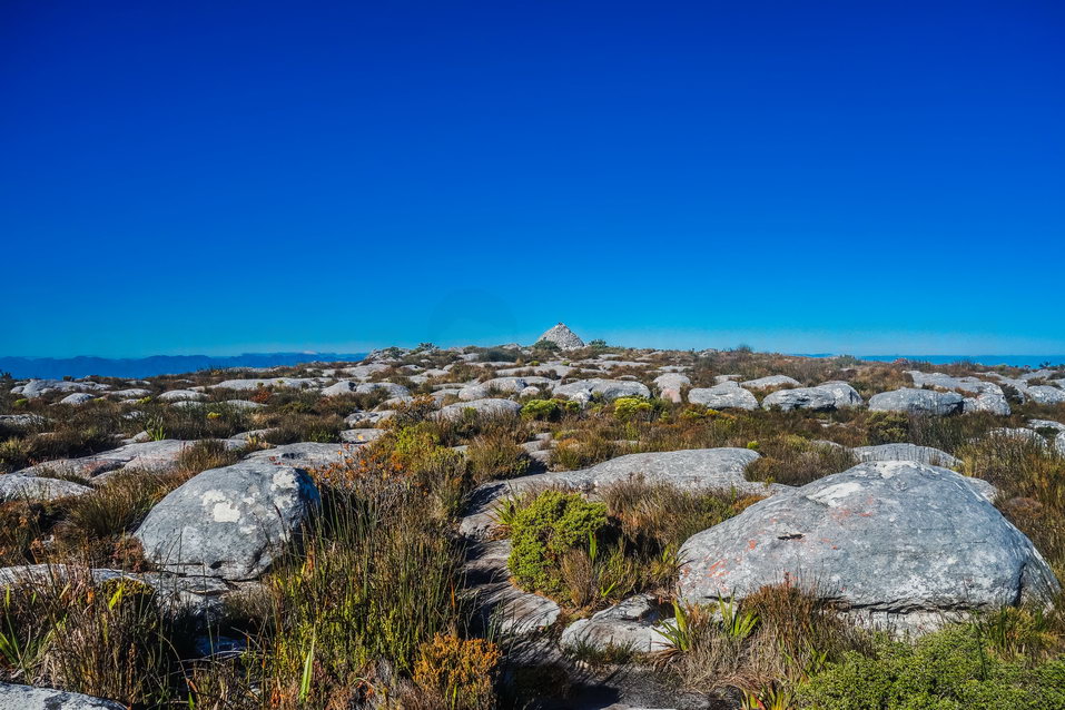 Cape Town (South Africa) © One Man Wolf Pack