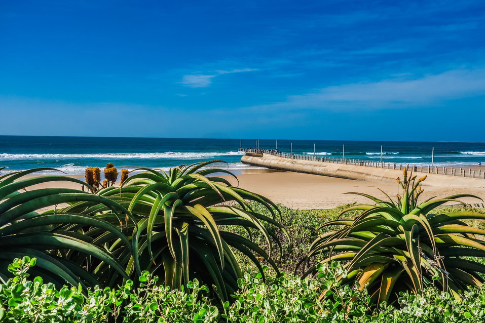 Durban (South Africa) © One Man Wolf Pack