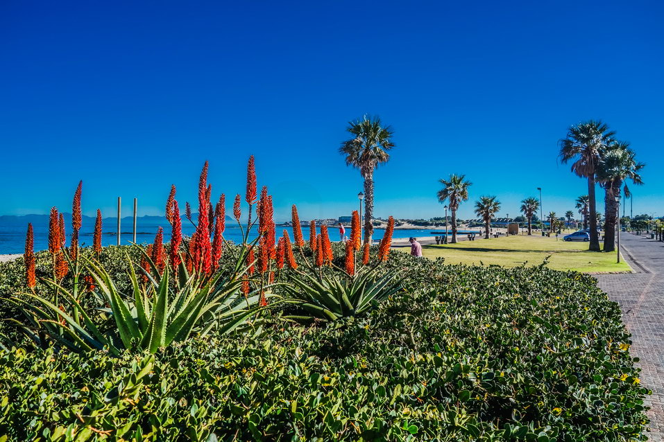 Garden Route (South Africa) © One Man Wolf Pack