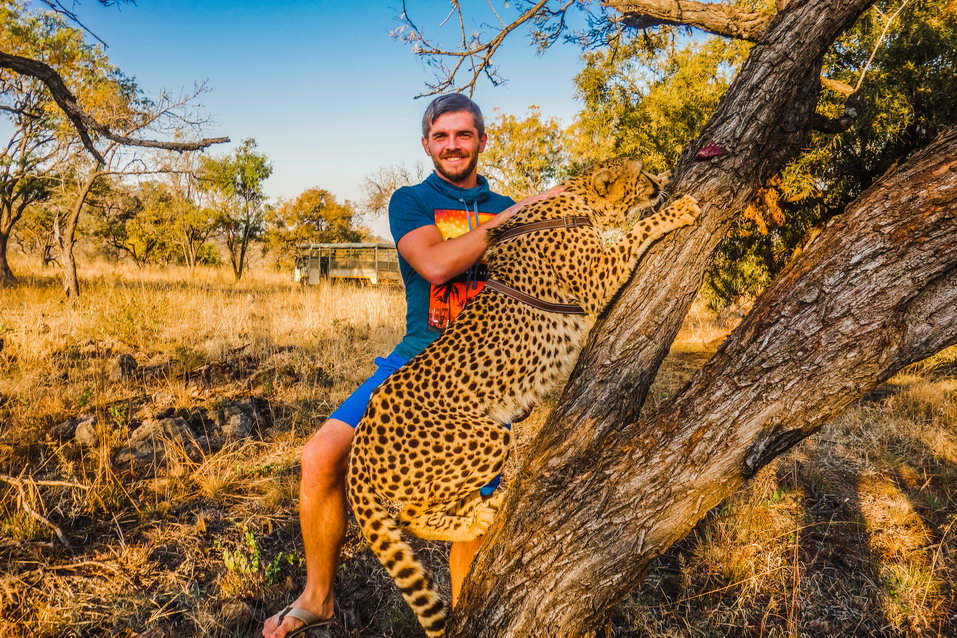 Johannesburg (South Africa) © One Man Wolf Pack