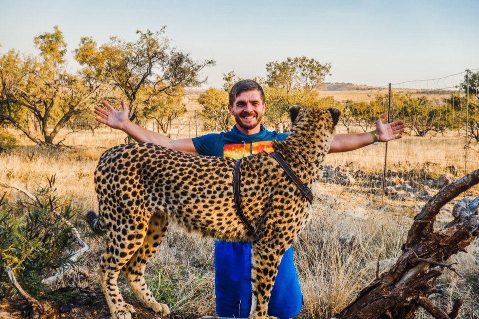 Johannesburg (South Africa) © One Man Wolf Pack