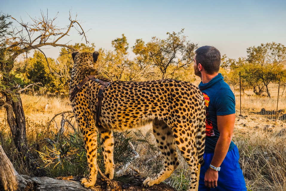 Johannesburg (South Africa) © One Man Wolf Pack