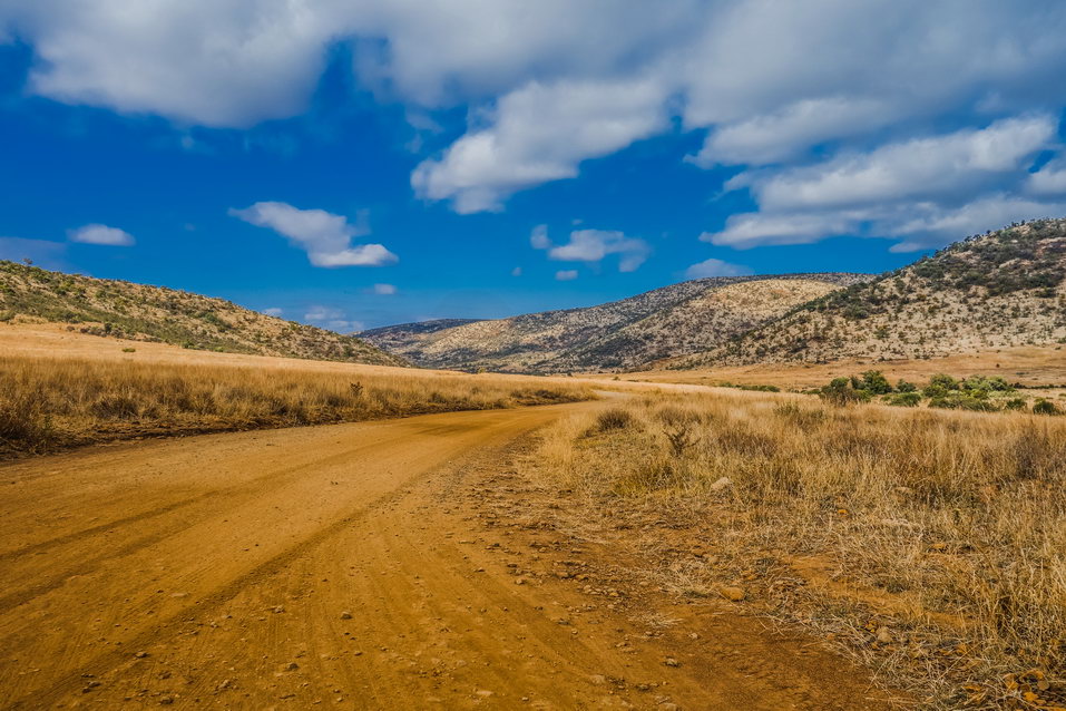 Pilanesberg (South Africa) © One Man Wolf Pack