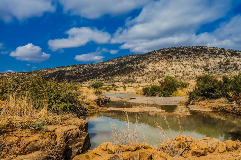 Pilanesberg (South Africa) © One Man Wolf Pack
