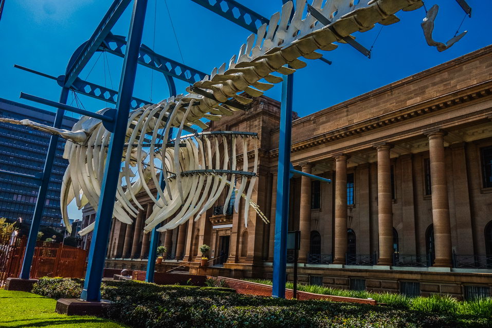 Pretoria (South Africa) © One Man Wolf Pack