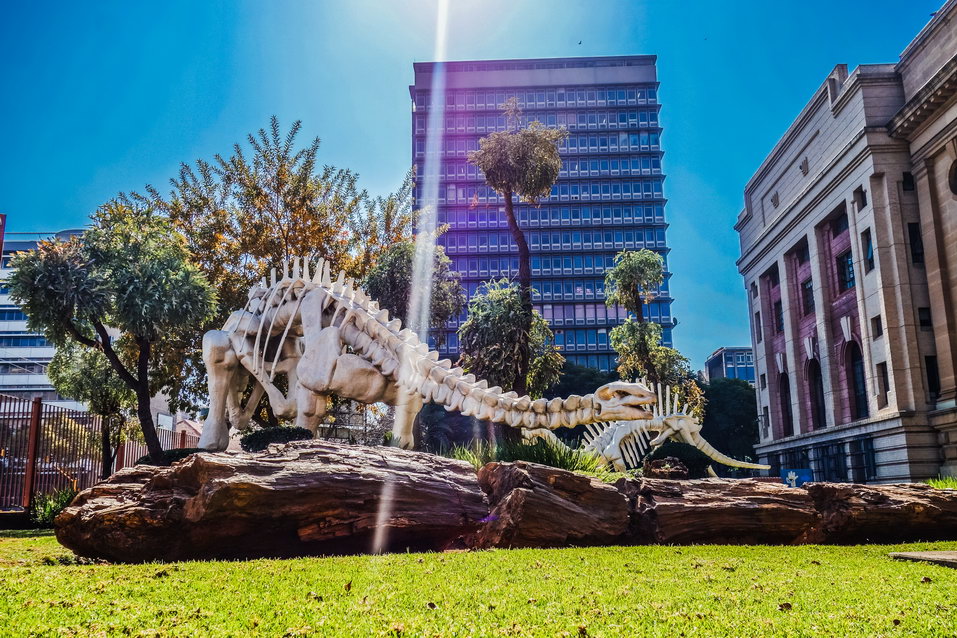 Pretoria (South Africa) © One Man Wolf Pack