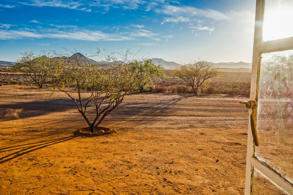 Springbok (South Africa) © One Man Wolf Pack