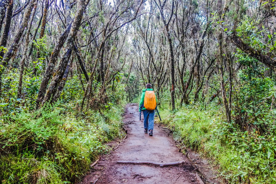Kilimanjaro (Tanzania) © One Man Wolf Pack