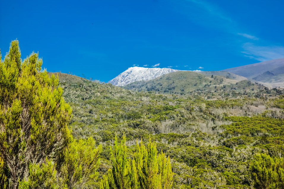 Kilimanjaro (Tanzania) © One Man Wolf Pack