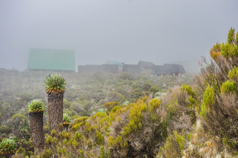 Kilimanjaro (Tanzania) © One Man Wolf Pack