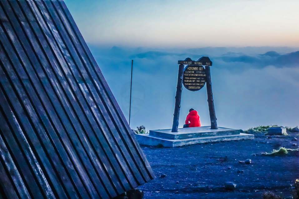 Kilimanjaro (Tanzania) © One Man Wolf Pack