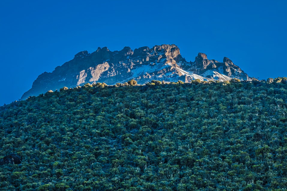 Kilimanjaro (Tanzania)