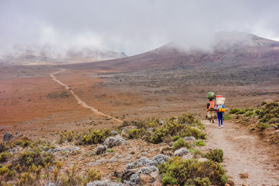 Kilimanjaro (Tanzania)