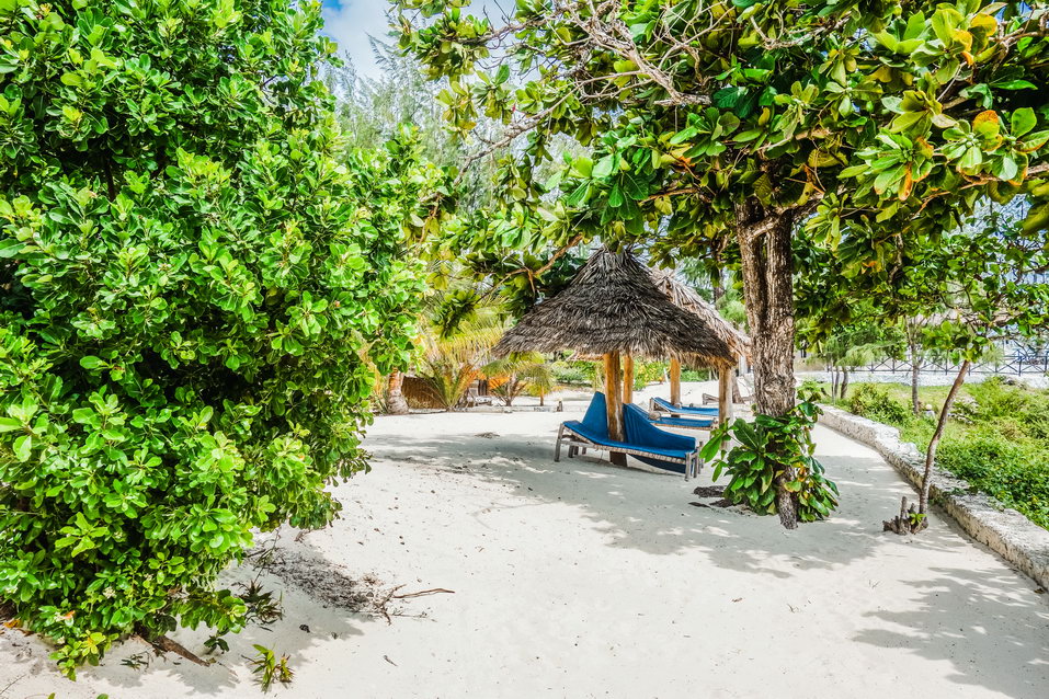 Zanzibar (Tanzania) © One Man Wolf Pack