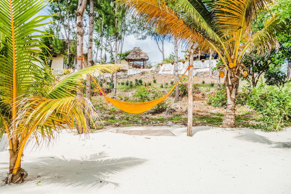 Zanzibar (Tanzania) © One Man Wolf Pack