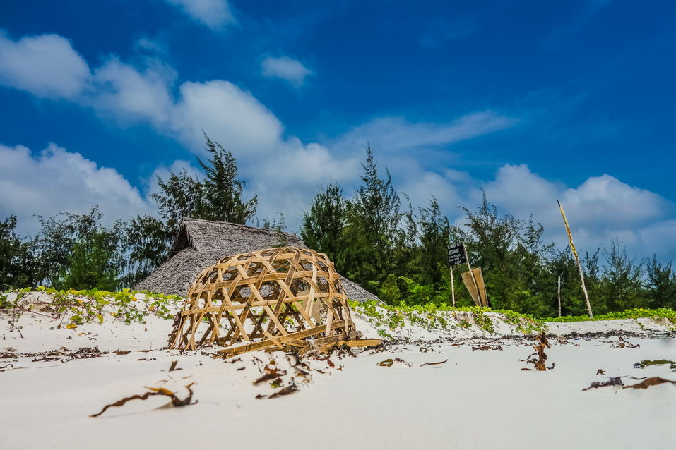 Zanzibar (Tanzania) © One Man Wolf Pack
