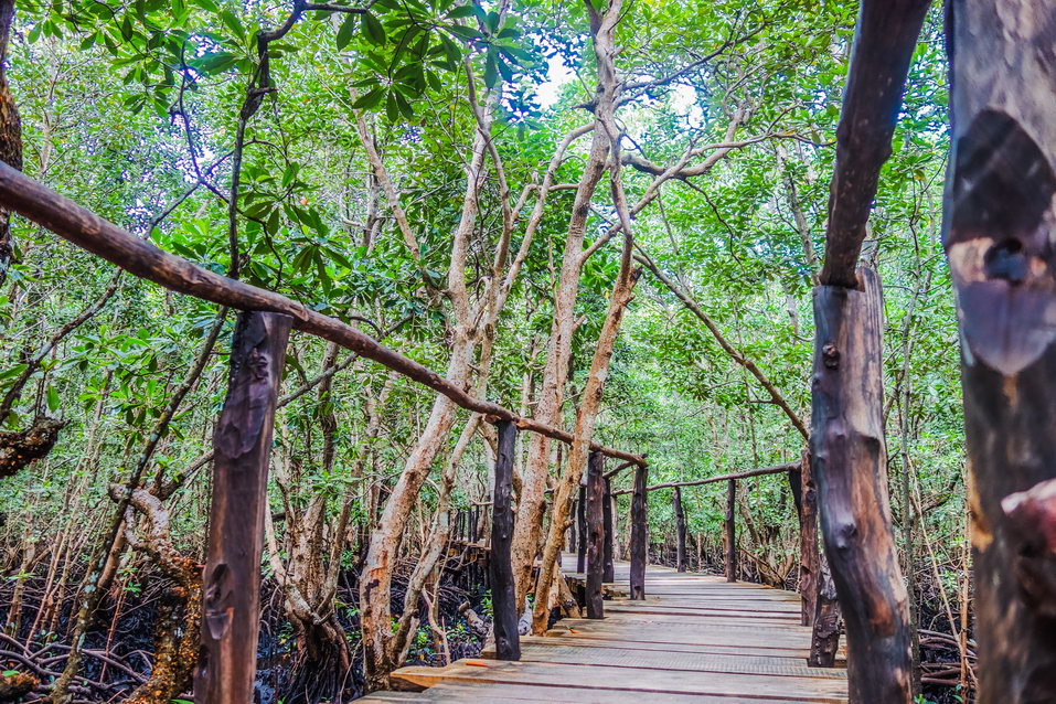 Zanzibar (Tanzania) © One Man Wolf Pack