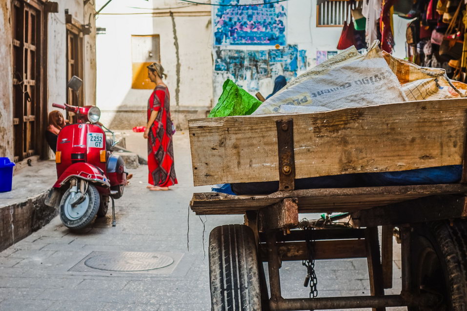 Zanzibar (Tanzania) © One Man Wolf Pack