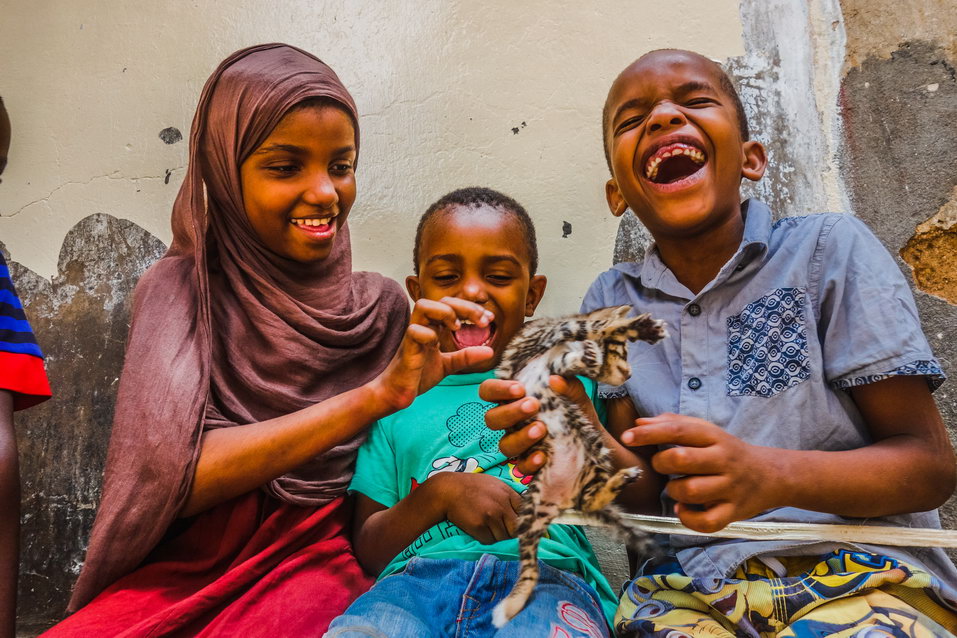 Zanzibar (Tanzania) © One Man Wolf Pack