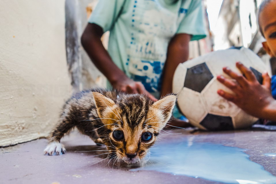 Zanzibar (Tanzania) © One Man Wolf Pack