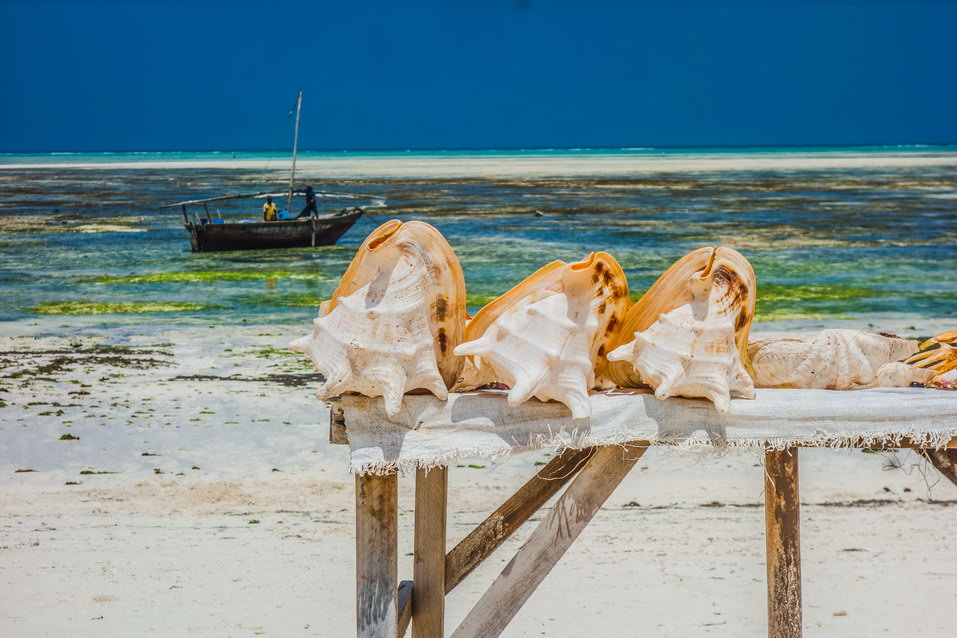Zanzibar (Tanzania) © One Man Wolf Pack