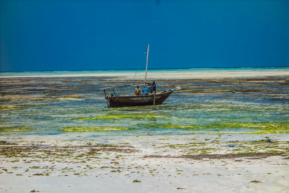 Zanzibar (Tanzania) © One Man Wolf Pack