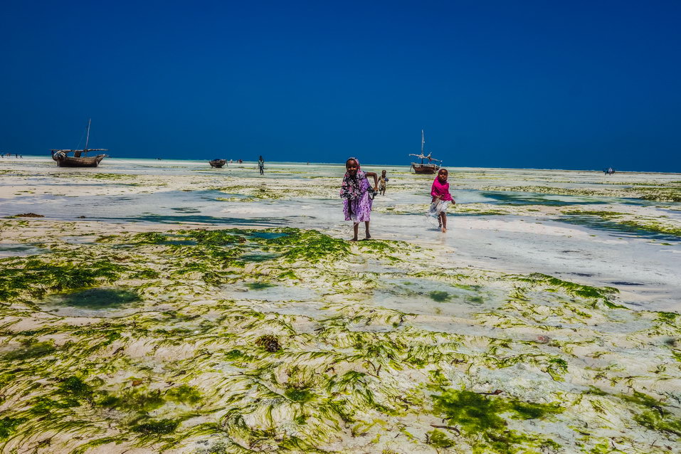 Zanzibar (Tanzania) © One Man Wolf Pack