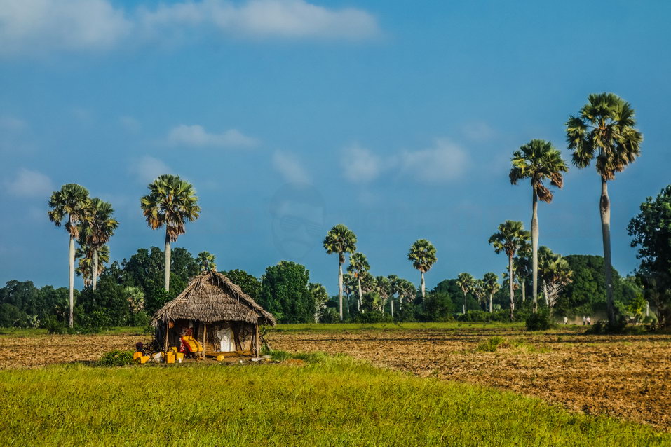 Zanzibar (Tanzania) © One Man Wolf Pack