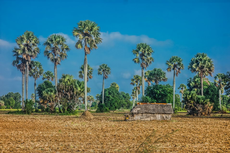 Zanzibar (Tanzania) © One Man Wolf Pack