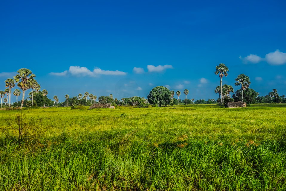 Zanzibar (Tanzania) © One Man Wolf Pack