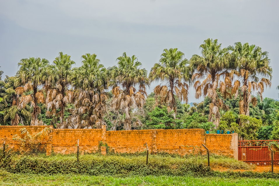 Entebbe (Uganda) © One Man Wolf Pack