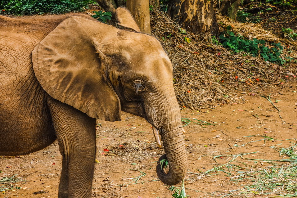Entebbe (Uganda) © One Man Wolf Pack
