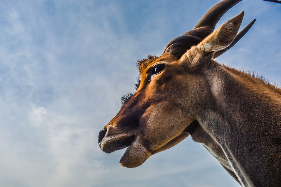 Entebbe (Uganda) © One Man Wolf Pack