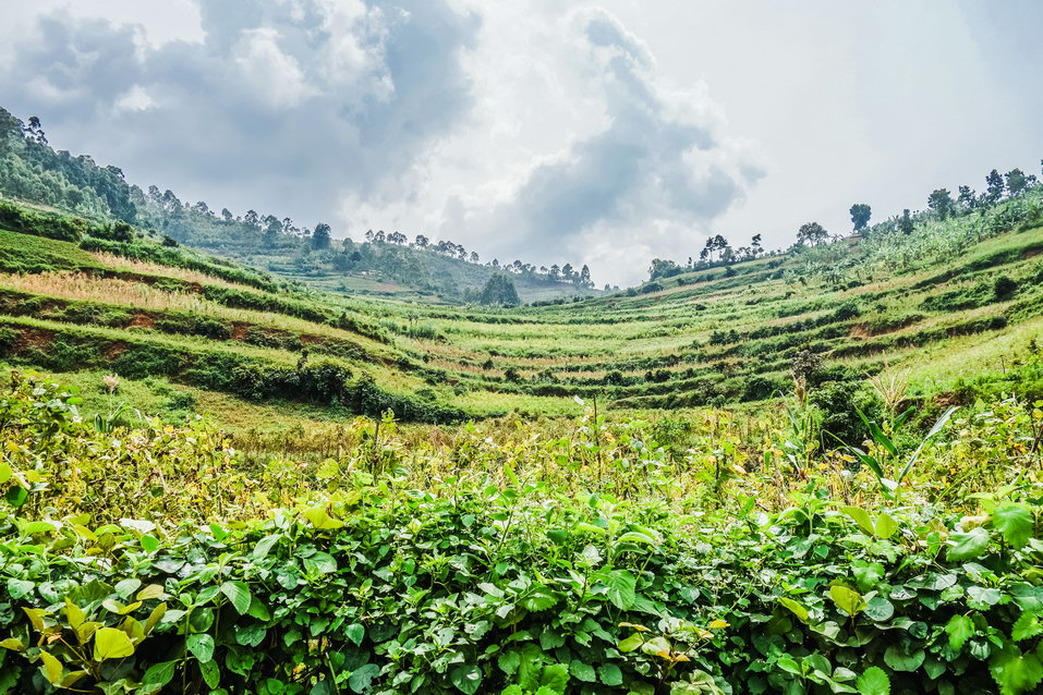 Lake Bunyonyi (Uganda) © One Man Wolf Pack