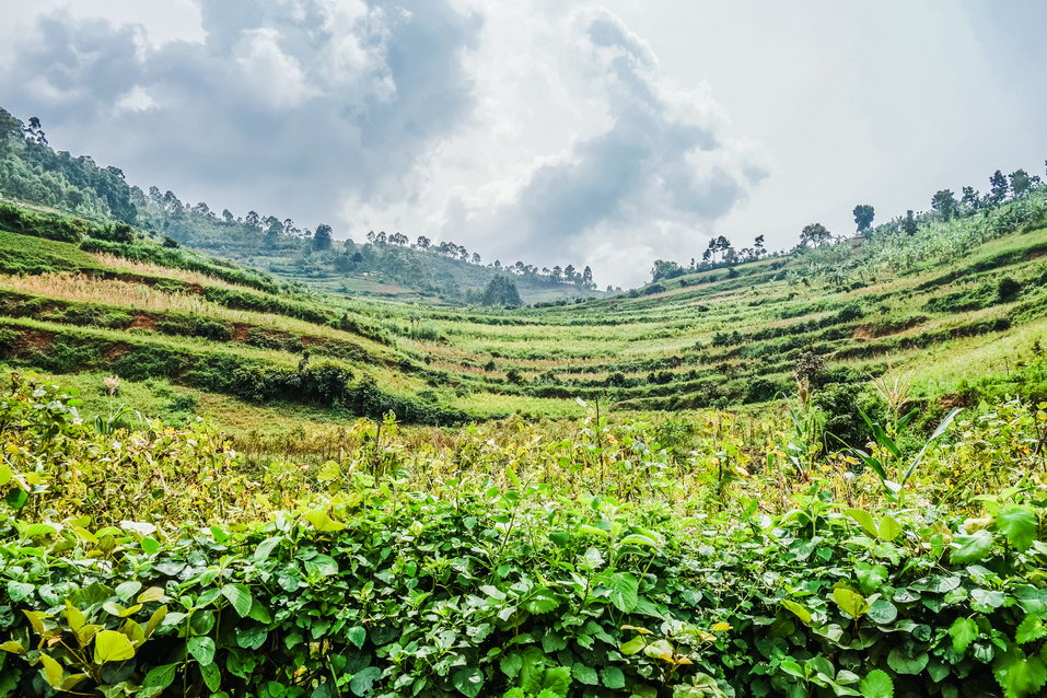 Lake Bunyonyi (Uganda)