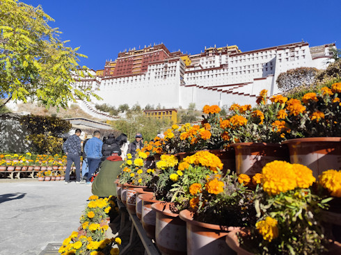 Tibet