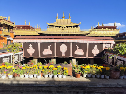 Tibet