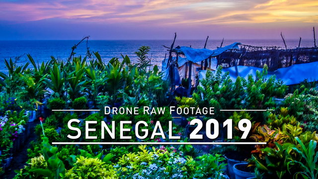 【4K】Drone RAW Footage | SENEGAL 2019 ..:: Ziguinchor | UltraHD Stock Video