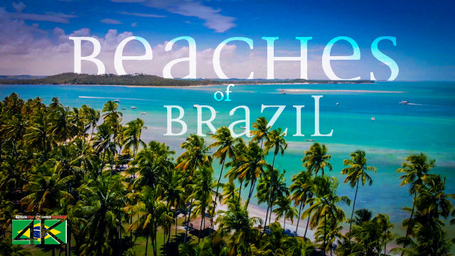 【4K】The Most Beautiful Beaches of BRAZIL 2020 | Cinematic Wolf Aerial™ Drone Film