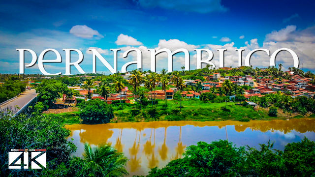 【4K】The Nature of Pernambuco from Above - BRAZIL 2020 | Cinematic Wolf Aerial™ Drone Film