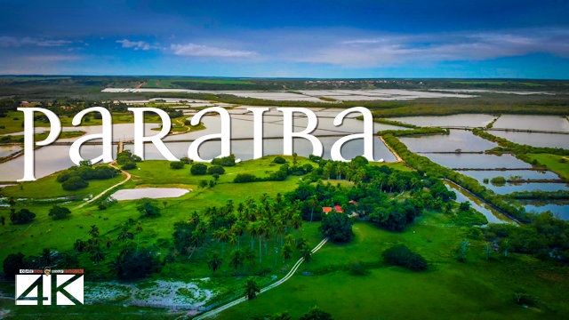 【4K】The Nature of Paraiba from Above - BRAZIL 2020 | Cinematic Wolf Aerial™ Drone Film