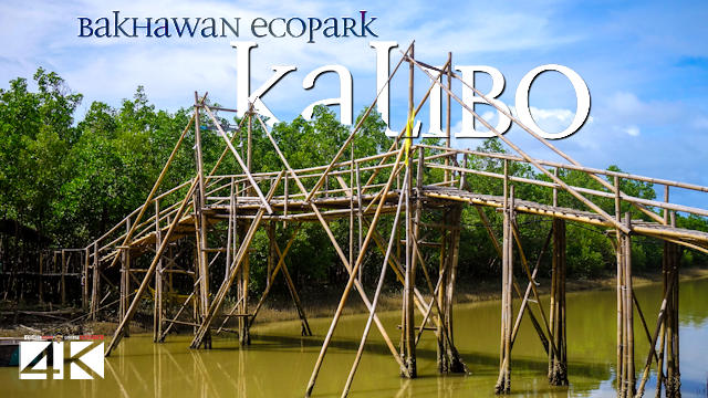 【4K】Bakhawan Eco-Park from Above - PHILIPPINES 2020 | Kalibo | Cinematic Wolf Aerial™ Drone Film