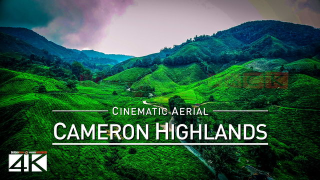 【4K】Drone Footage | CAMERON HIGHLANDS ..:: Malaysias Natural Wonder 2019