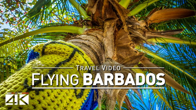 【4K】Footage | Landing in BARBADOS ..:: Caribbean 2019